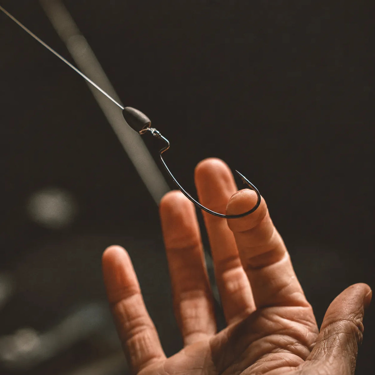 FANG Offset EWG Worm Hook-common-1
