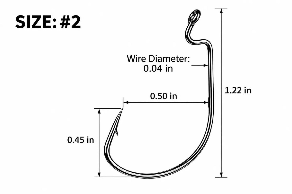 FANG Offset EWG Worm Hook-info-#2