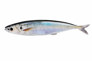 Silver soft plastic fish bait with a forked tail on a white background.