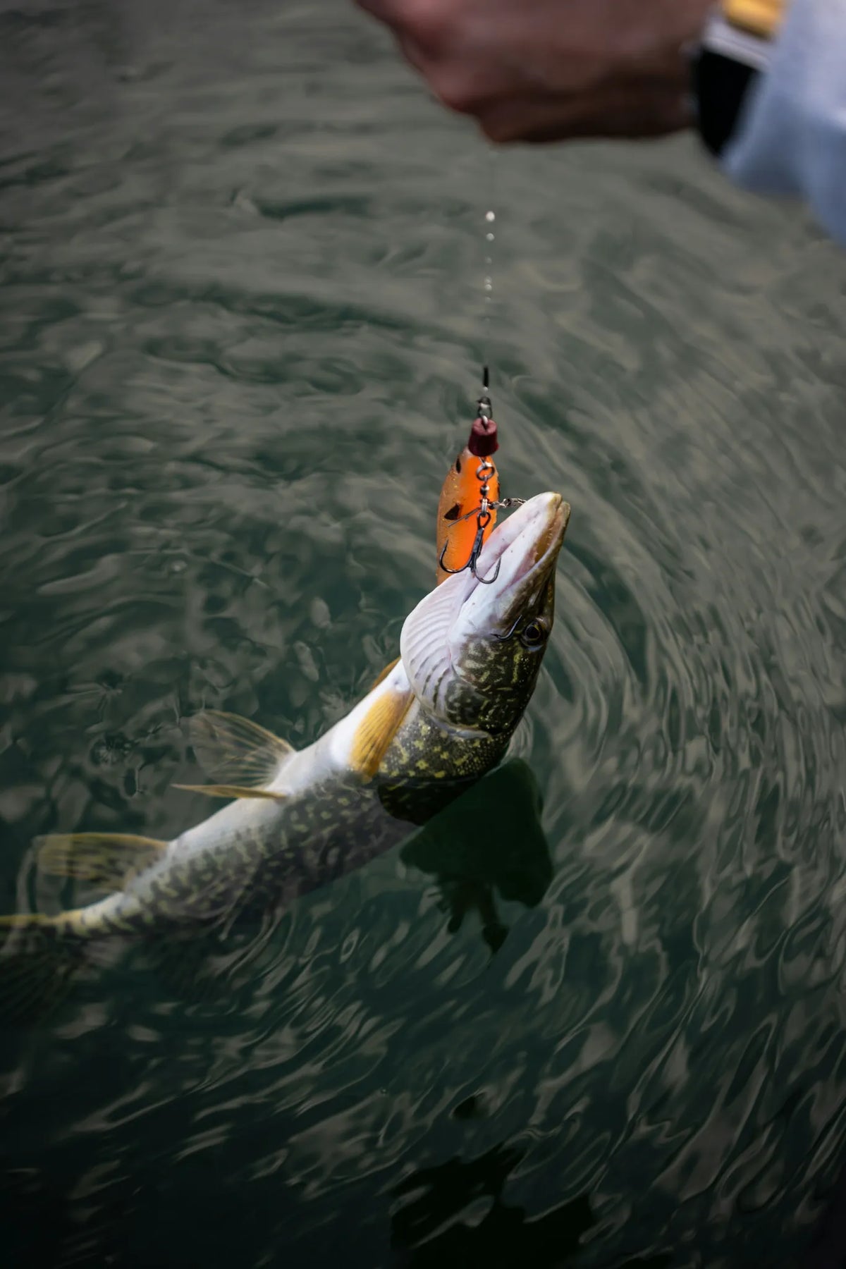 TERMINAL TACKLE