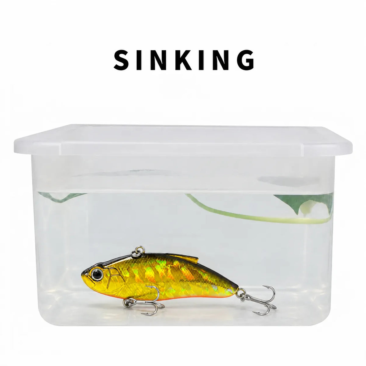 common